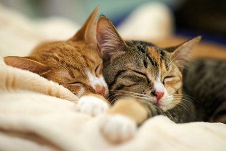 抗税罪与非罪的界限-靠谱派