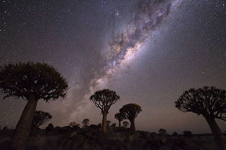 集成电路布图设计如何登记-靠谱派