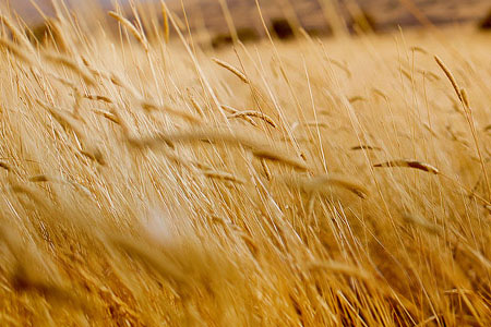 企业开业税务登记申请-靠谱派