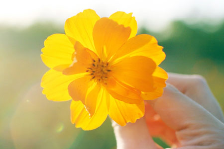 中华人民共和国劳动保险条例实施细则修正草案-靠谱派