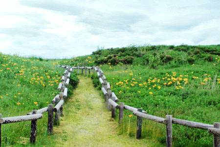 集成电路布图设计专有权的保护期限-靠谱派