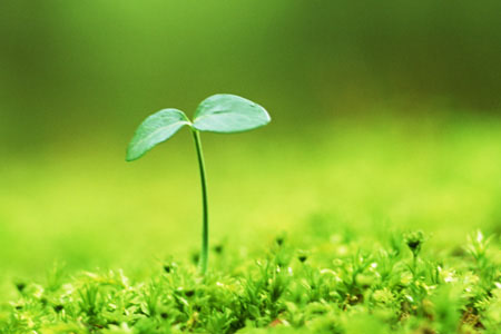 四川省地方税务局办税指南之税务登记程序-靠谱派